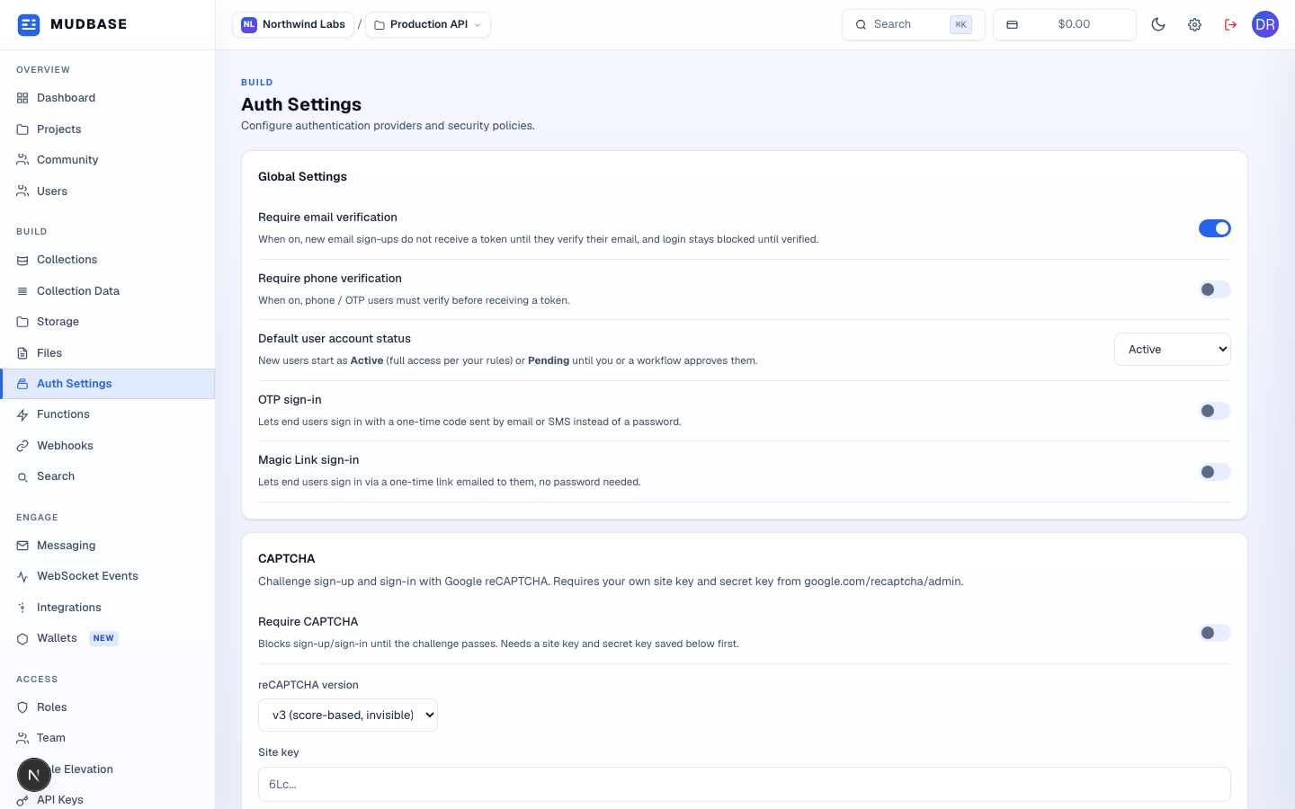 Auth Settings page with Require email verification, Default user account status, OTP sign-in, and Magic Link sign-in toggles marked