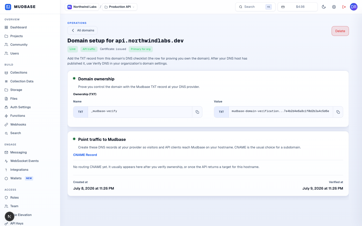 Domain setup page for api.northwindlabs.dev showing Live/API traffic/Primary badges, a Domain ownership card with a TXT record, and a Point traffic to Mudbase card with a CNAME record and created/verified timestamps