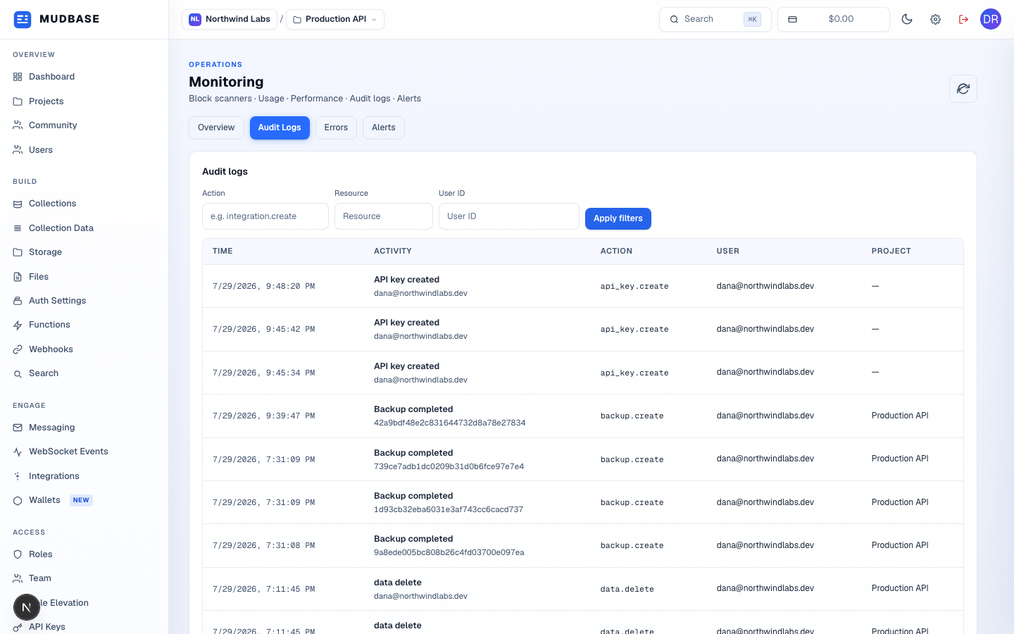 Monitoring Audit Logs tab with the Action, Resource, and User ID filters, Apply filters button, and the log table marked