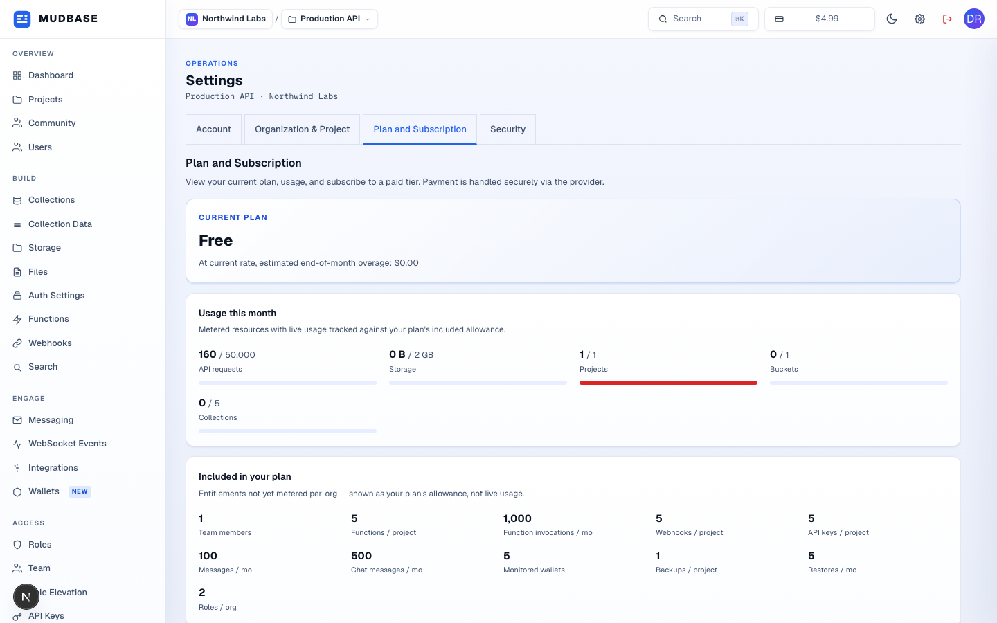 Settings page with the Plan and Subscription tab active, showing current plan, usage this month, and included-in-plan entitlements