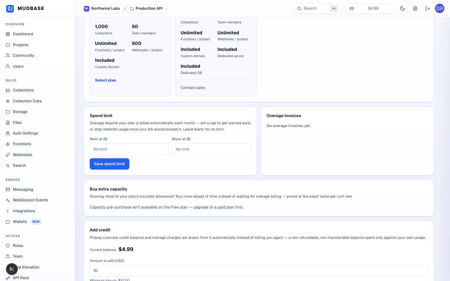 Spend limit card with warn-at and block-at fields, an empty overage invoices card, and a buy-extra-capacity card