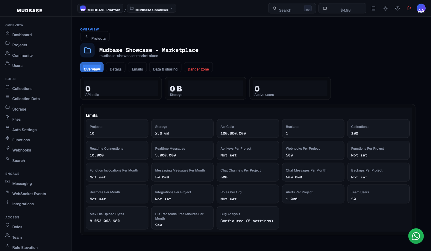 Project Details page on the Overview tab showing the five tab buttons, three usage stat counters, and the full Limits grid