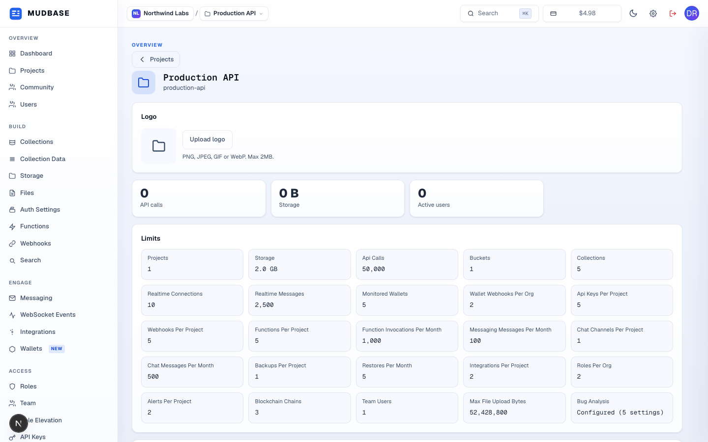 Project Details top section with back link, project name and slug, logo upload, usage stat cards, and the plan limits grid marked