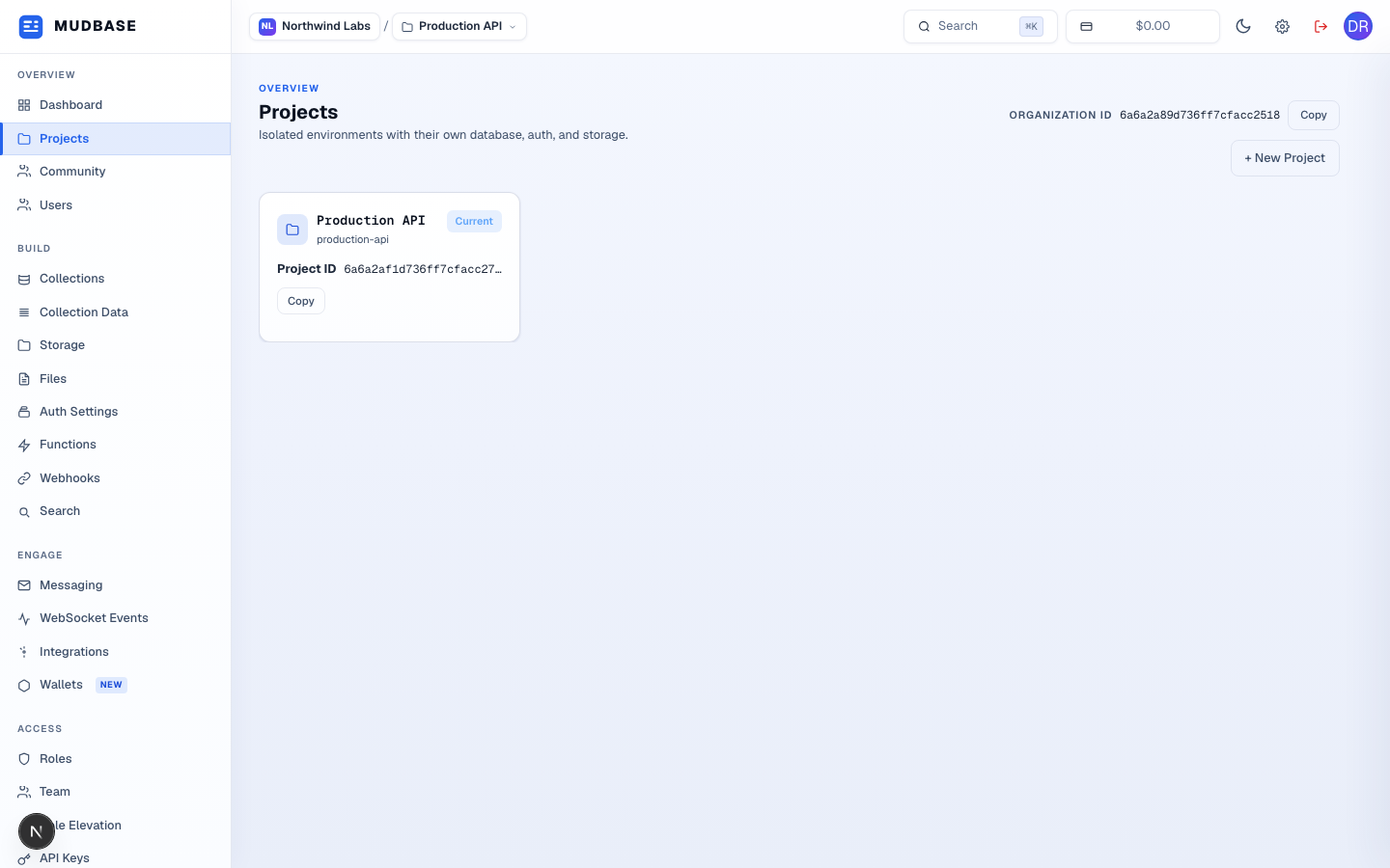 Projects list showing the Production API project, its Project ID, and the New Project button