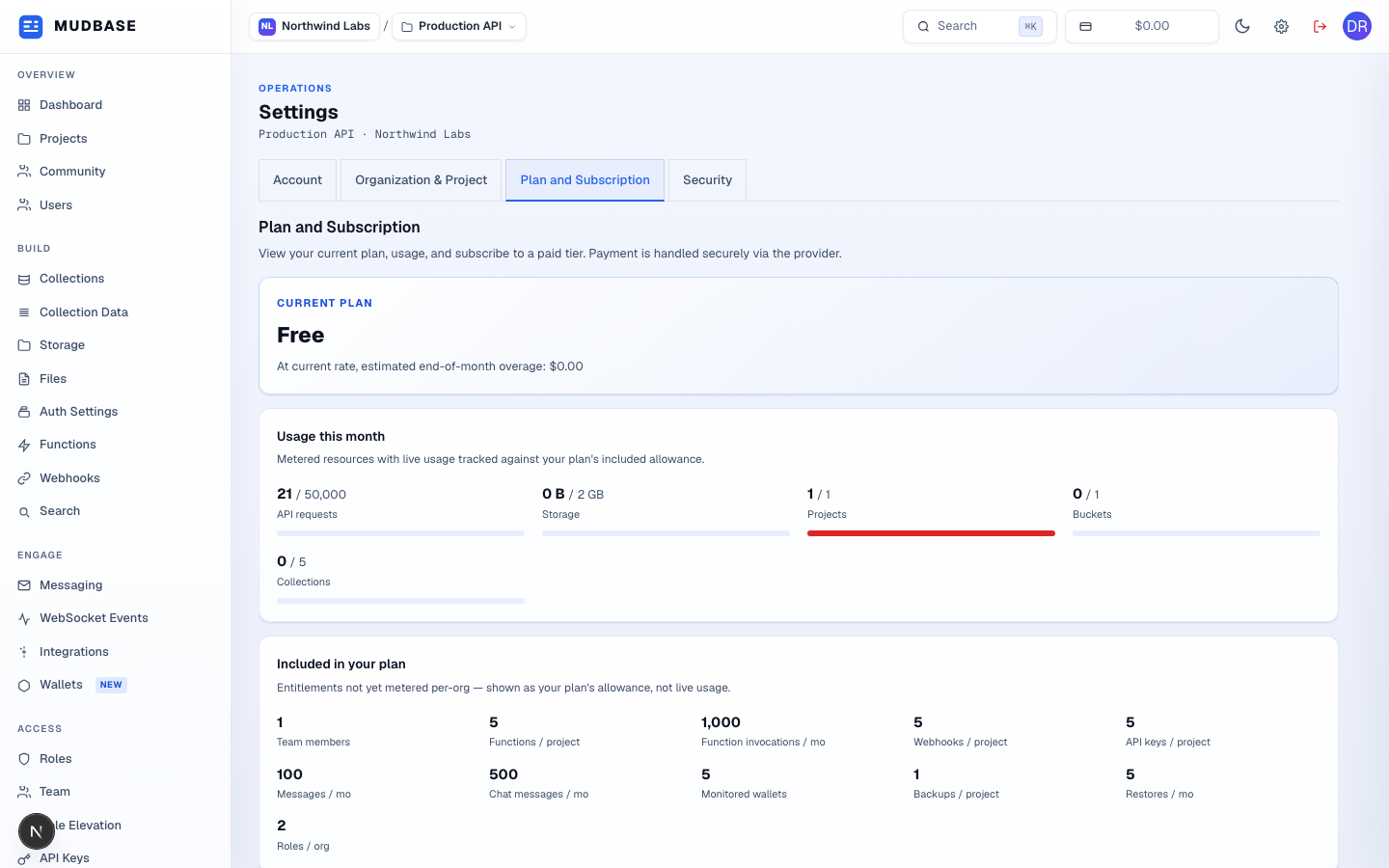 Plan and Subscription tab showing current plan, usage this month, and included entitlements