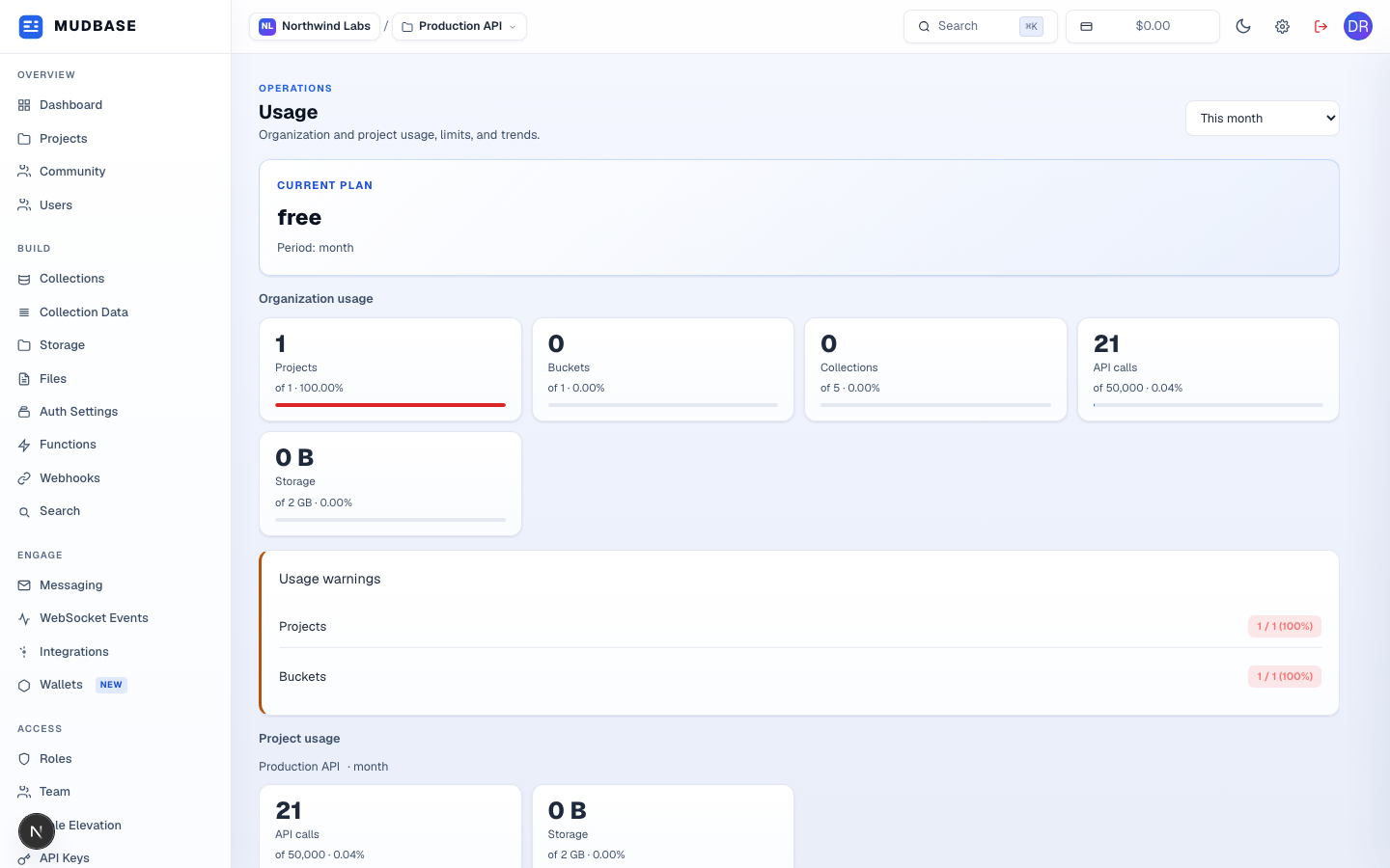 Usage page with the period selector, current plan, organization usage cards, usage warnings, and project usage marked